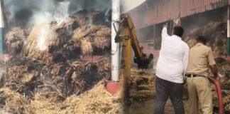 ಬೆಂಗಳೂರು ಗೋಶಾಲೆಯಲ್ಲಿ ಅಗ್ನಿ ಅವಘಡ: ಹುಲ್ಲಿನ ಮೆದೆ ಭಸ್ಮ