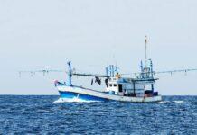 ಡೀಸೆಲ್ ದರ ಏರಿಕೆ ಮೀನುಗಾರಿಕೆ ವಲಯಕ್ಕೆ ಪೆಟ್ಟು