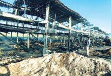 ವಿದ್ಯುತ್ ಶಾರ್ಟ್ ಸರ್ಕ್ಯೂಟ್: 700ಕ್ಕೂ ಹೆಚ್ಚು ಕುರಿಗಳು ಭಸ್ಮ