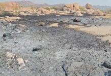 ಆಕಸ್ಮಿಕ ಬೆಂಕಿ ಅವಘಡ: 4 ಎಕರೆ ಮೆಕ್ಕೆಜೋಳ ಬೆಳೆ ಕ್ಷಣಾರ್ಧದಲ್ಲಿ ಭಸ್ಮ