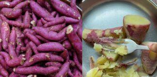 ಆರೋಗ್ಯದ ಗಣಿ ‘ಗೆಣಸಿನ ಪಾಯಸ’: ಕೆಮ್ಮು, ಸಕ್ಕರೆ ಕಾಯಿಲೆ ನಿಯಂತ್ರಣ, ಡಯಟ್ಗೆ ಇದುವೇ ರಾಮಬಾಣ