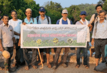 ಅಪರೂಪದ ಅಪ್ಪೆಮಿಡಿ ಮರಗಳ ಸಂರಕ್ಷಣೆ; ಪರಿಸರ ಪ್ರೇಮಿಗಳಿಂದ ಅಘನಾಶಿನಿ ತಟದಲ್ಲಿ ವಿಶಿಷ್ಟ ಪಾದಯಾತ್ರೆ
