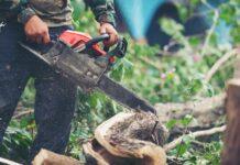 ಸಿಲಿಂಡರ್ ಸಿಗಲಿಲ್ಲವೆಂದು ಸೌದೆಗೆ ಮರ ಕಡಿದರೆ ಹುಷಾರ್!