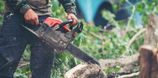 ಸಿಲಿಂಡರ್ ಸಿಗಲಿಲ್ಲವೆಂದು ಸೌದೆಗೆ ಮರ ಕಡಿದರೆ ಹುಷಾರ್!