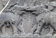 ದೇವಗಿರಿ ಯಾದವ ರಾಜರ ಗಜಪಡೆಯ ಉಬ್ಬು ಶಿಲ್ಪ ಪತ್ತೆ