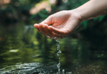 ಕರ್ನಾಟಕದಲ್ಲಿ ಬೇಸಿಗೆ ಬಿಸಿ; ಹನಿ ನೀರಿಗೂ ಹಾಹಾಕಾರ, ರೈತರಿಗೆ ಸಂಕಷ್ಟ, ಗ್ರಾಮಗಳಿಗೆ ಜಲ ಕಂಟಕ!