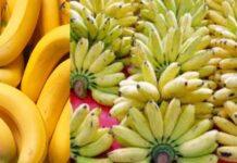 ಬಾಳೆಹಣ್ಣಿನ ದರ ದಿಢೀರ್ ಕುಸಿತ: ಗ್ರಾಹಕರಿಗೆ ಖುಷಿ, ಬಾಳೆ ಬೆಳೆಗಾರರಿಗೆ ಸಂಕಷ್ಟ; ಪ್ರತಿ ಕೆ.ಜಿಗೆ ಎಷ್ಟು ಇಳಿಕೆ ಗೊತ್ತಾ?