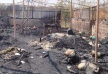 ಆಕಸ್ಮಿಕ ಬೆಂಕಿ: 45 ಕುರಿ ಸಹಿತ ಕುರಿಗಾಹಿ ಸಜೀವ ದಹನ