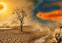 ಕರ್ನಾಟಕ ಮಾತ್ರವಲ್ಲ ಹಲವು ರಾಜ್ಯಗಳಲ್ಲಿ ಏರಿಕೆಯಾಗಲಿದೆ ‘ಹೀಟ್ ವೇವ್’; ವಿಜ್ಞಾನಿಗಳ ಎಚ್ಚರಿಕೆ ಏನು? ಇಲ್ಲಿದೆ ಕಂಪ್ಲೀಟ್ ಡಿಟೇಲ್ಸ್