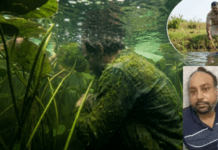 ಕೆರೆಯಲ್ಲಿ ಅಡಗಿದ್ದ ಕಳ್ಳನ ‘ಕಮಲ’ ಪುರಾಣ; 70 ಲಕ್ಷದ ವಜ್ರ ಕದ್ದಿದ್ದ ರಾಜಕಾರಣಿ ಈಗ ರೈಲ್ವೇ ಪೊಲೀಸರ ಅತಿಥಿ!