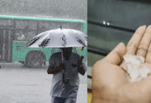 ಬಿಸಿಲ ಬೇಗೆಗೆ ತತ್ತರಿಸಿದ ಬೆಂಗಳೂರಲ್ಲಿ ದಿಢೀರ್ ಮಳೆ; ಆಲಿಕಲ್ಲು, ಗುಡುಗಿನ ಆರ್ಭಟಕ್ಕೆ ಬೆರಗಾದ ಜನರು