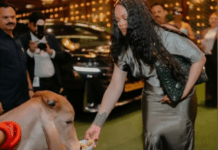 4 ಲಕ್ಷದ ಬ್ಯಾಗ್ ತಂದಿಟ್ಟ ಸಂಕಷ್ಟ; ಪ್ರಾಣಿ ಹತ್ಯೆ ಮಾಡಿದ ಚರ್ಮದ ಬ್ಯಾಗ್ ಅನಿವಾರ್ಯವೇ? ವೈರಲ್ ಫೋಟೋದ ಹಿಂದಿನ ಅಸಲಿ ಸತ್ಯ!