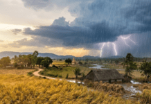 ಬೆಂಗಳೂರಿಗರಿಗೆ ಬಿಗ್ ಶಾಕ್; ಸಿಲಿಕಾನ್ ಸಿಟಿಯಲ್ಲಿ ಇನ್ನಷ್ಟು ಹೆಚ್ಚಾಗಲಿದೆ ಸೂರ್ಯನ ಶಾಖ! ಎಲ್ಲೆಲ್ಲಿ ‘ಯೆಲ್ಲೋ ಅಲರ್ಟ್’, IMD ಎಚ್ಚರಿಕೆ