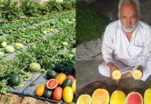 ಮಾರುಕಟ್ಟೆಯಲ್ಲಿ ಹರಿಯಾಣ ರೈತನ ಕಲ್ಲಂಗಡಿಗೆ ಭಾರೀ ಬೇಡಿಕೆ: ಎಕರೆಗೆ 6.5 ಲಕ್ಷ ರೂ. ಆದಾಯದ ಗುಟ್ಟು ಇಲ್ಲಿದೆ!