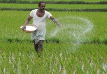 ರೈತರಿಗೆ ಸಿಹಿ ಸುದ್ದಿ: ಕೃಷಿ ಕ್ಷೇತ್ರಕ್ಕೆ ಬೂಸ್ಟ್ – ಖಾರಿಫ್ ಸಬ್ಸಿಡಿ ಹೆಚ್ಚಳ