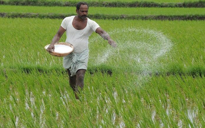 kharif-2026-fertilizer-subsidy-india-nbs