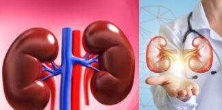 ಕಿಡ್ನಿ ದಾನಕ್ಕೆ ಬದಲಾದ ಮಾರ್ಗಸೂಚಿ: ಸುಸಜ್ಜಿತ ಕಸಿ ವ್ಯವಸ್ಥೆ; ರೋಗಿಗಳ ಹಿತರಕ್ಷಣೆಗಾಗಿ ಹೊಸ ನಿಯಮ ಜಾರಿ!