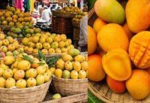 ಸೀಸನ್ ಬಂದರು ಮಾರುಕಟ್ಟೆಗೆ ಬಾರದ ಮಾವು: ಜೋನಿರೋಗ ರೈತರ ಕನಸು ನುಚ್ಚುನೂರು; ಗ್ರಾಹಕರಿಗೂ ಬರೆ