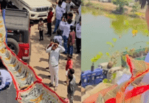 100 ಅಡಿ ಹಾರ.. ಲಕ್ಷ ಲಕ್ಷ ಹಣ; ಮೇವಾತ್ ಮದುವೆಯ ಈ ಅದ್ದೂರಿತನಕ್ಕೆ ಪೊಲೀಸರೇ ಶಾಕ್!