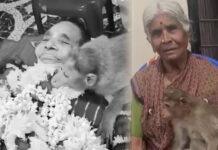 ಅಜ್ಜಿಯ ಸಾವು: ಕಪಿರಾಯನ ಮೌನ ರೋದನೆಯ ವಿಡಿಯೋ ವೈರಲ್