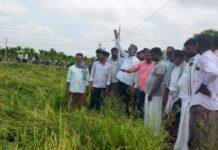 ಆಲಿಕಲ್ಲು ಮಳೆಗೆ ಭಾರೀ ಹಾನಿ: ರೈತರ ಅಳಲು ಆಲಿಸಿದ ಶಾಸಕ