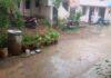 ದಾವಣಗೆರೆ: ಸಾಧಾರಣ ಮಳೆಗೆ ತಂಪಾದ ಇಳೆ