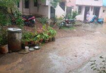 ದಾವಣಗೆರೆ: ಸಾಧಾರಣ ಮಳೆಗೆ ತಂಪಾದ ಇಳೆ