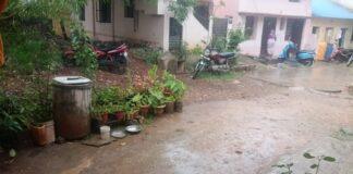 ದಾವಣಗೆರೆ: ಸಾಧಾರಣ ಮಳೆಗೆ ತಂಪಾದ ಇಳೆ