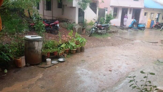 Rain