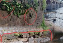 ದಾಂಡೇಲಿ: ಕಾಳಿ ನದಿ ಸೇತುವೆ ಬಳಿಯ ರಕ್ಷಣಾ ಗೋಡೆ ಅಪಾಯದ ಅಂಚಿನಲ್ಲಿ