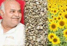ರೈತರಿಗೆ ಸರ್ಕಾರದ ಸಿಹಿ ಸುದ್ದಿ: ಸೂರ್ಯಕಾಂತಿ ಖರೀದಿ ಕೇಂದ್ರ ಆರಂಭ