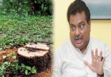 ಶ್ರೀಗಂಧ ಕಳ್ಳತನಕ್ಕೆ ಚೆಕ್-ಮೇಟ್: ತಂತ್ರಜ್ಞಾನ ನಿಮ್ಮದು, ವೆಚ್ಚ KSDL ಸಂಸ್ಥೆಯದು!