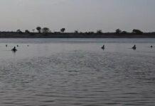 ತುಂಗಭದ್ರಾ ನದಿಯಲ್ಲಿ ಈಜಲು ಹೋಗಿದ್ದ ಐವರು ನೀರುಪಾಲು