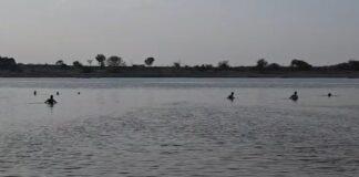 ತುಂಗಭದ್ರಾ ನದಿಯಲ್ಲಿ ಈಜಲು ಹೋಗಿದ್ದ ಐವರು ನೀರುಪಾಲು