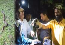 VTUಕ್ಯಾಂಪಸ್: 16ಹೆಬ್ಬಾವಿನ ಮರಿಗಳು ಪತ್ತೆ- ವಿದ್ಯಾರ್ಥಿಗಳಲ್ಲಿ ಆತಂಕ