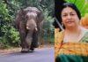 ಮಡಿಕೇರಿ: ಕಾಡಾನೆ ದಾಳಿಗೆ ಐಜಿಪಿ ಪತ್ನಿ ಸಾವು