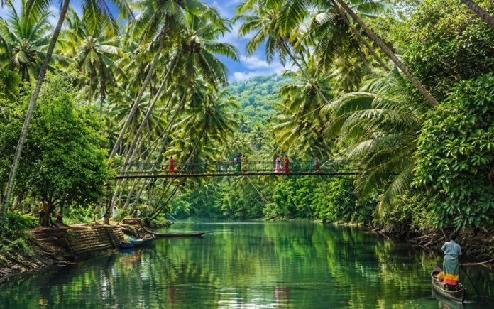 anand-mahindra-praises-honnavar-backwaters-as-karnatakas-hidden-gem