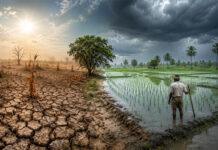 El Nino ಎಚ್ಚರಿಕೆ: ಈ ಬಾರಿಯ ಮುಂಗಾರು ಕೃಷಿಗೆ ಸವಾಲಾಗಲಿದೆಯೇ?