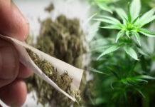 ಹೋಂ ಸ್ಟೇ ಮೇಲೆ ದಾಳಿ: MDMA ಸಹಿತ 7 ಮಂದಿ ಪೊಲೀಸ್ ವಶಕ್ಕೆ