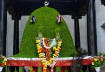 ರಾಜ್ಯದಲ್ಲೇ ಅಪರೂಪದ ಸಸಿ ಡೋಲಿ: ಮೊಹರಂ ಸಂಭ್ರಮಕ್ಕೆ ಮೆರುಗು