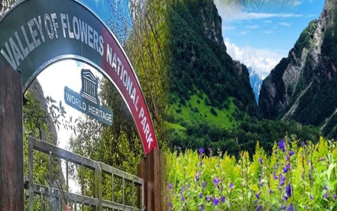 valley-of-flowers-reopens-in-uttarakhand-tourists-welcomed-for-blooming-season