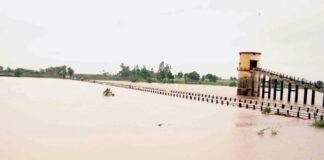 ಉಕ್ಕಿದ ಕೃಷ್ಣಾ – ದೂಧಗಂಗಾ: ಸೇತುವೆಗಳು ಜಲಾವೃತ
