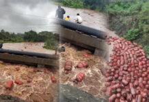 ʻಮಹಾʼ ಮಳೆ ಅಬ್ಬರಕ್ಕೆ ನದಿಯಲ್ಲಿ ತೇಲಿಹೋದ LPG ಸಿಲಿಂಡರ್ಗಳು