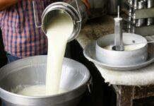 ರಾಸಾಯನಿಕ, Detergent ಬಳಸಿ 2.3 ಕೋಟಿ ಲೀ. ನಕಲಿ ಹಾಲು ಪೂರೈಕೆ!