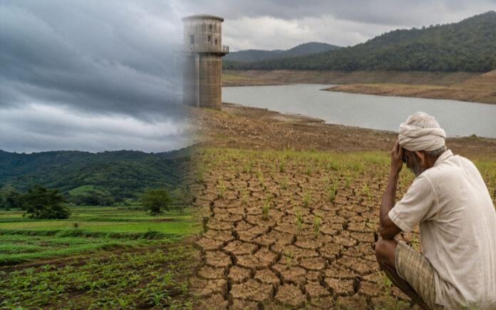monsoon-rainfall-deficit-dandeli-joida-haliyal-farmers-concern-uttara-kannada