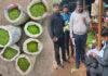 ಆಹಾರ ನಿಯಮ ಉಲ್ಲಂಘನೆ: 106Kg ಕೃತಕ ಹಸಿರು ಬಟಾಣಿ ಸೀಜ್!