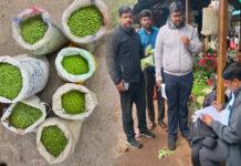 ಆಹಾರ ನಿಯಮ ಉಲ್ಲಂಘನೆ: 106Kg ಕೃತಕ ಹಸಿರು ಬಟಾಣಿ ಸೀಜ್!