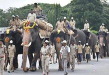 ಮೈಸೂರು ದಸರಾಗೆ 12 ಆನೆಗಳ ಪಟ್ಟಿ ಸಿದ್ಧ