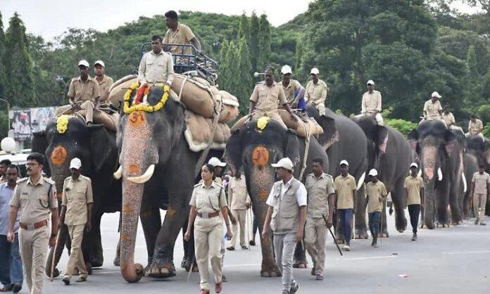 Elephant