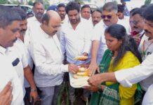 ಬೆಳೆ ಹಾನಿ ಪ್ರದೇಶಗಳಿಗೆ ಸಚಿವ ಯತೀಂದ್ರ ಭೇಟಿ, ಪರಿಶೀಲನೆ